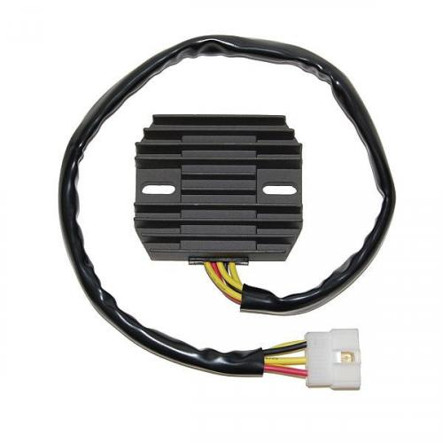 ElectroSport ESR264