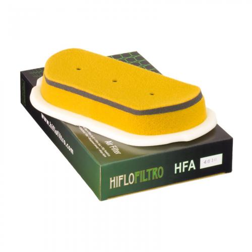 Hiflofiltro HFA4610