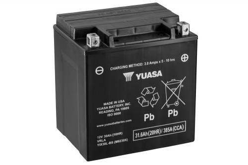 Yuasa YIX30L-BS